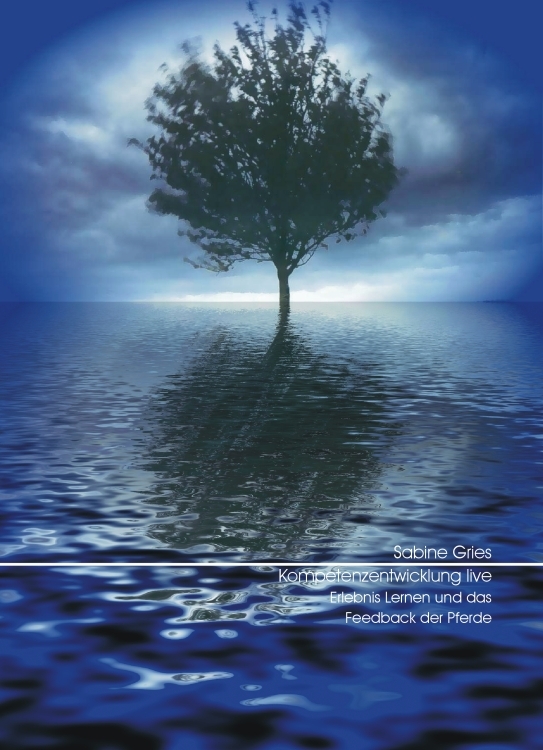 Erziehungswissenschaft - (19)